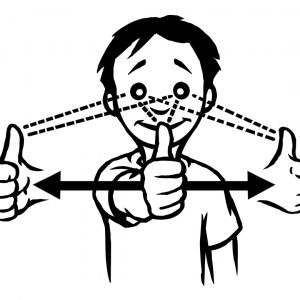 Visual Skill and Primitive Reflex Development